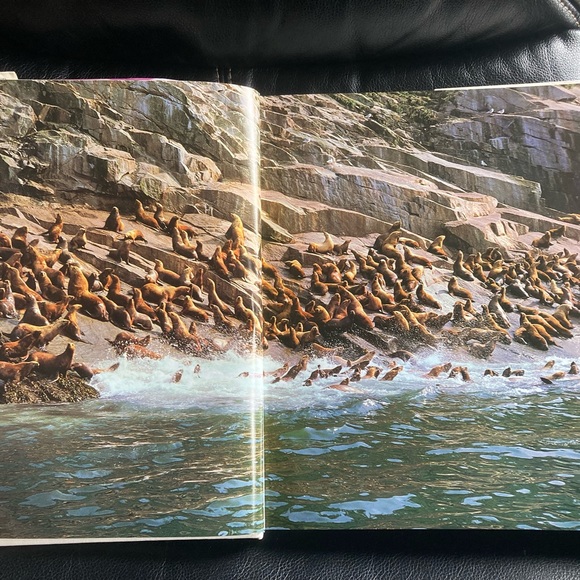 Books (Hardback): The Ocean World by Jacques Cousteau - Picture 8 of 16